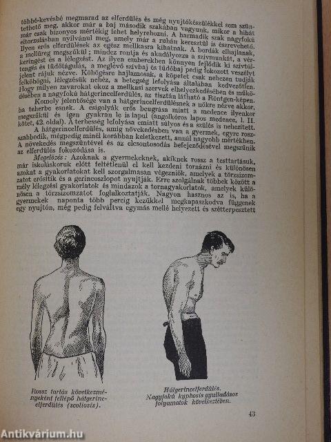 Orvos a családban V.