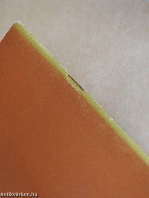 Kis magyar neveléstan - rendszerváltás idejére