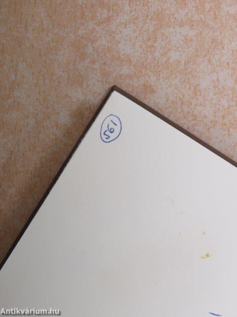 Kultúra és nevelés