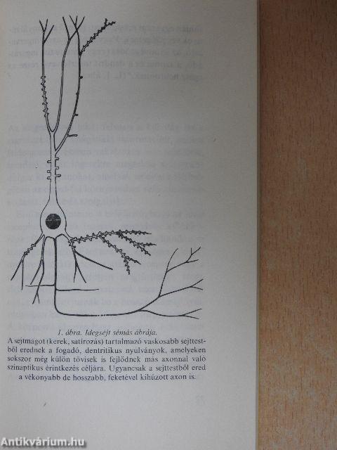 Mi a neurobiológia?