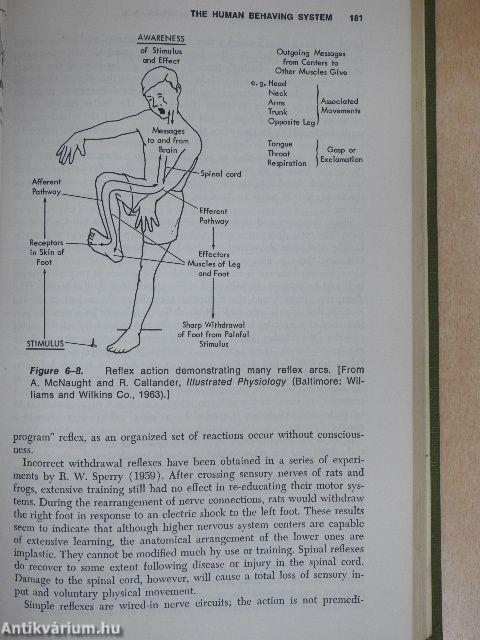 Motor Learning and Human Performance