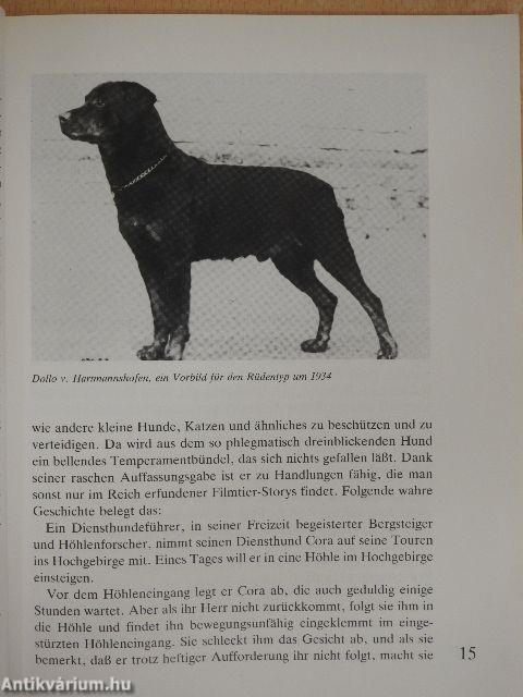 Der Rottweiler