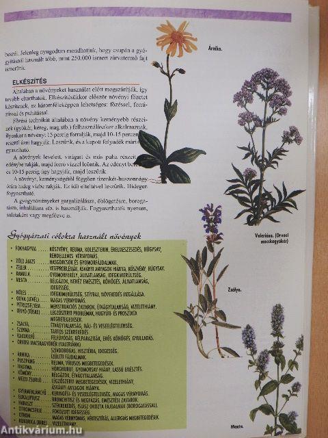 Természetes szépségápolás