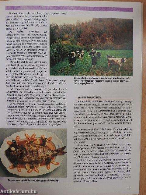 Természetes szépségápolás