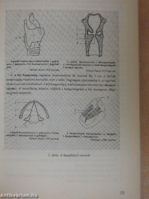 Nyelvről, anyanyelvről 16 éveseknek