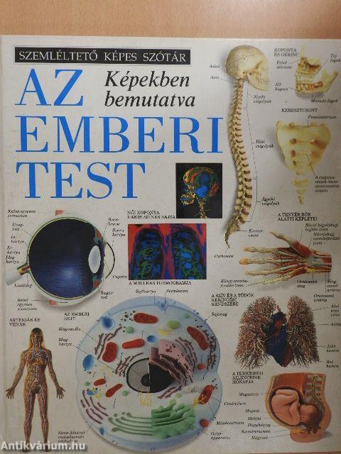 Az emberi test