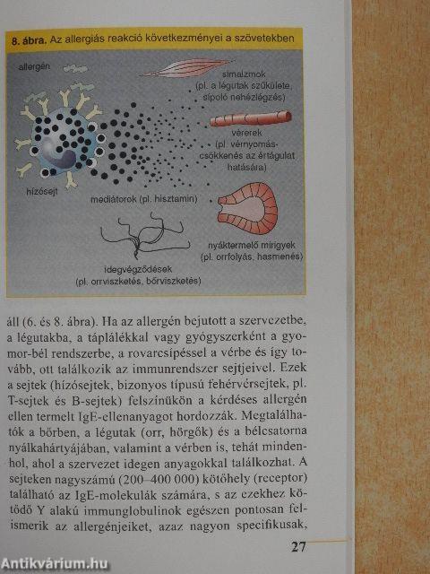 Az allergia rejtélye