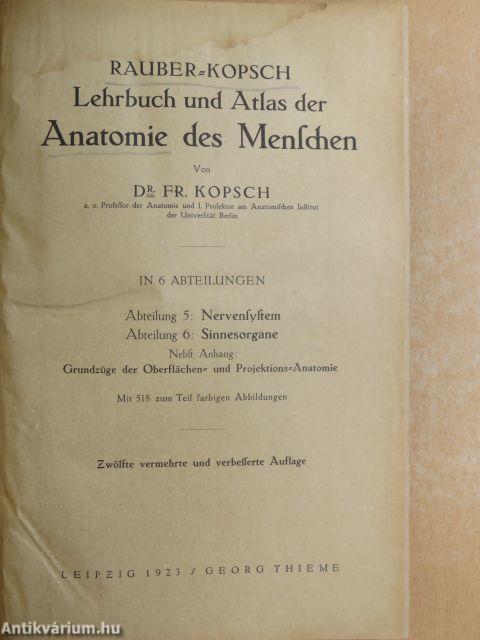 Lehrbuch und Atlas der Anatomie des Menschen 5-6.