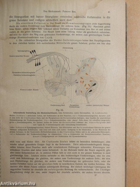 Lehrbuch und Atlas der Anatomie des Menschen 5-6.