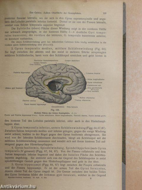 Lehrbuch und Atlas der Anatomie des Menschen 5-6.