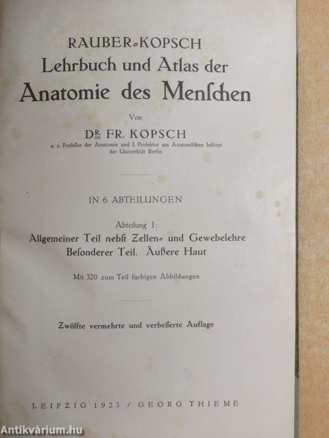 Lehrbuch und Atlas der Anatomie des Menschen 1.