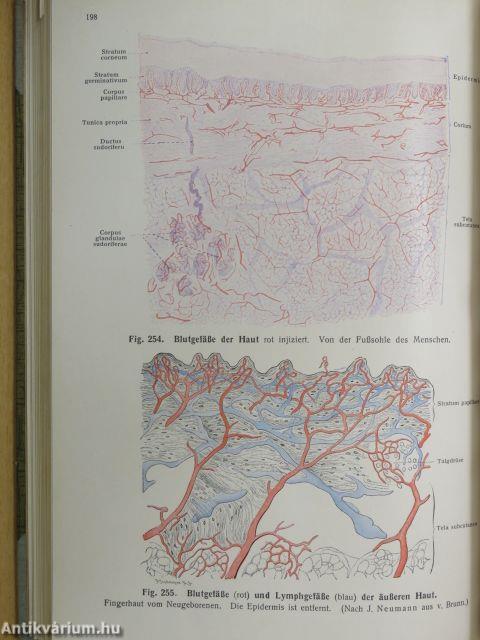 Lehrbuch und Atlas der Anatomie des Menschen 1.