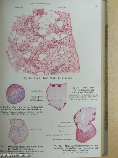 Lehrbuch und Atlas der Anatomie des Menschen 4.