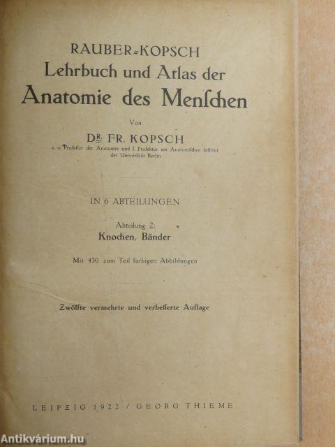 Lehrbuch und Atlas der Anatomie des Menschen 2.