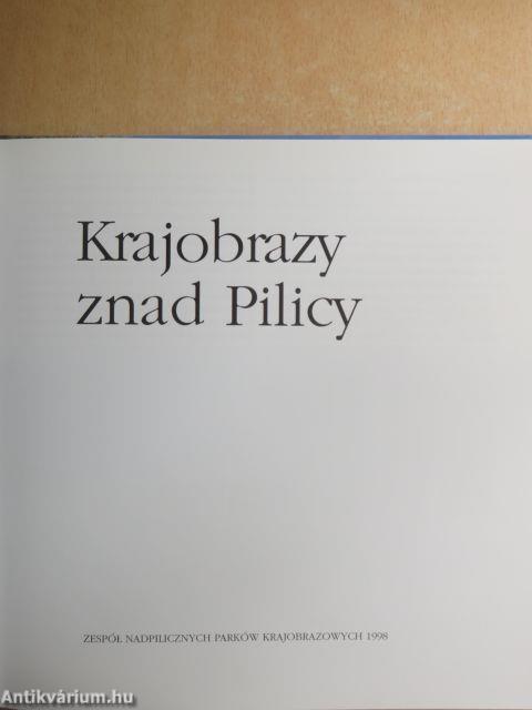 Krajobrazy znad Pilicy