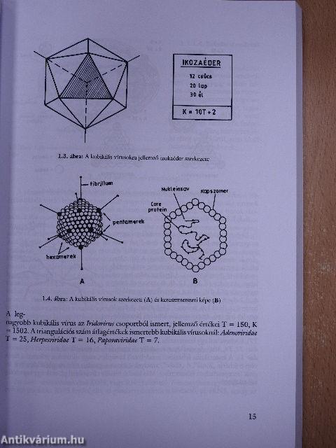 Mikrobiológia I. (töredék)