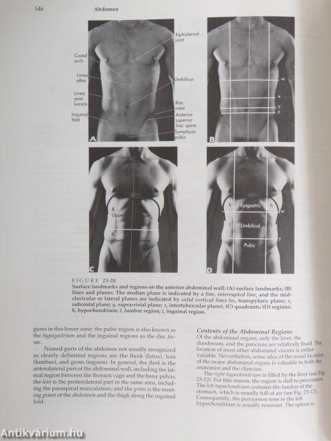 Hollinshead's Textbook of Anatomy