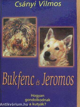 Bukfenc és Jeromos