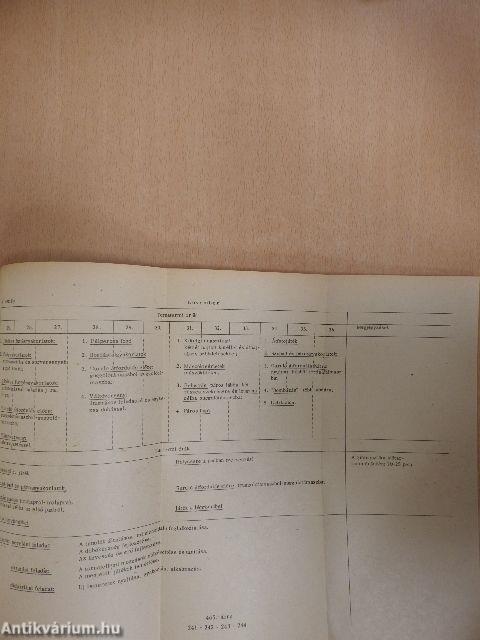 A testnevelés tanítása