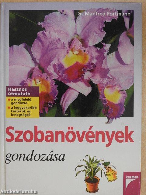 Szobanövények gondozása