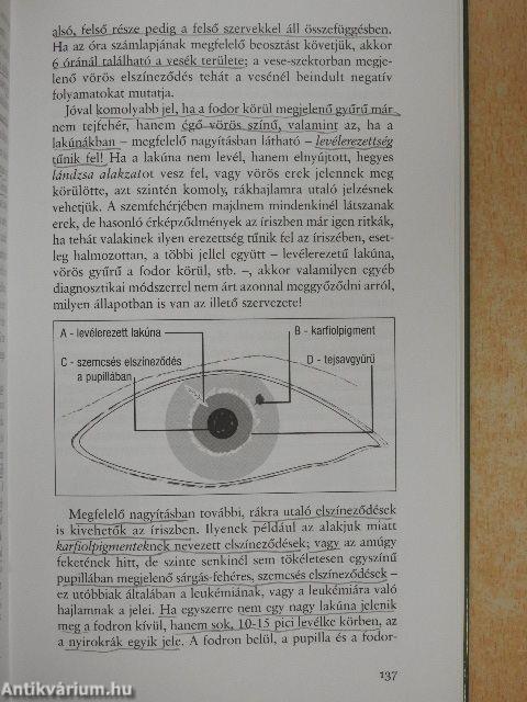 Népbetegségek megelőzése és szelíd gyógymódjai 1.