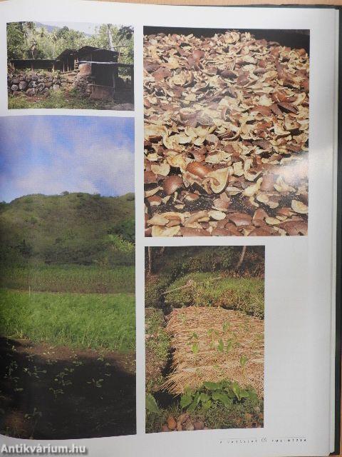 Polinézia gyöngyszemei