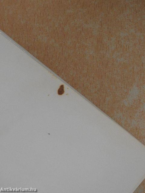 Ditte, az ember lánya