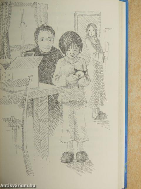 Pille új otthonra lel