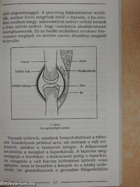 Hogyan orvosoljuk reumánkat és ízületi fájdalmainkat