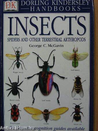 Insects