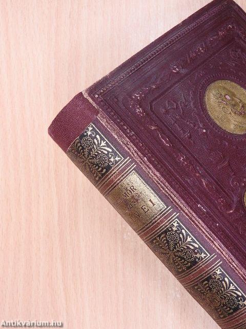 Szabadság a hó alatt vagy a zöld könyv