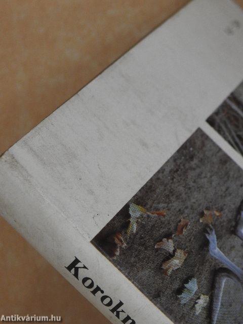 Az állatok nagy képeskönyve