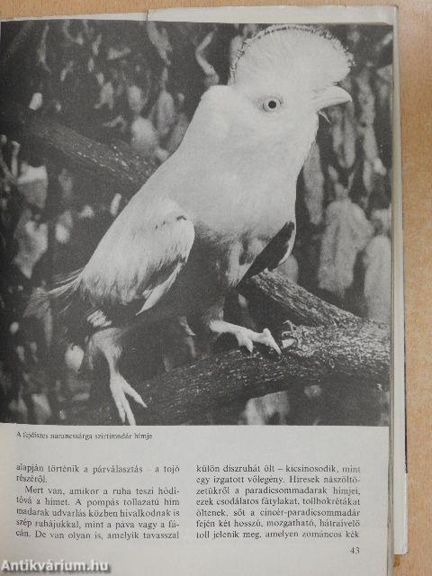 Az állatok nagy képeskönyve