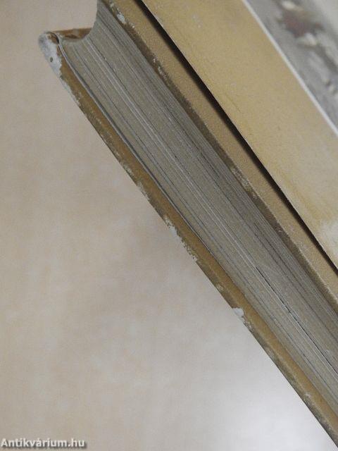 Egy francia orvosnő Jemenben