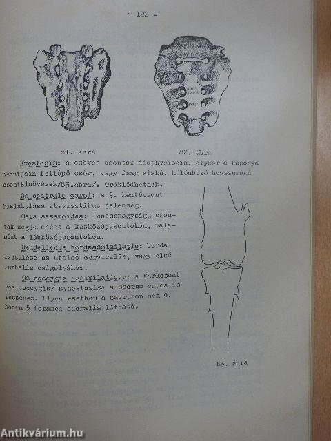 Antropológiai praktikum I.