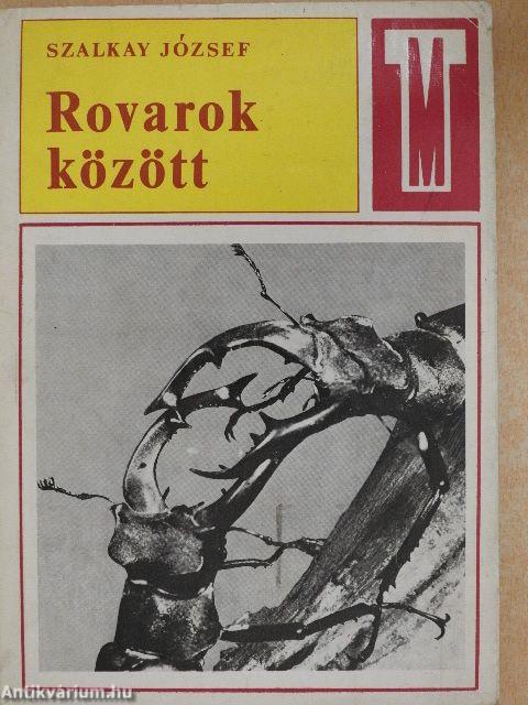 Rovarok között