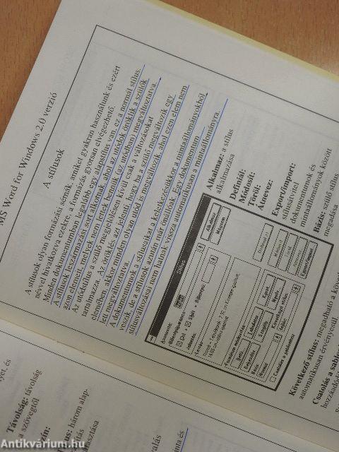 MS Word for Windows 2.0