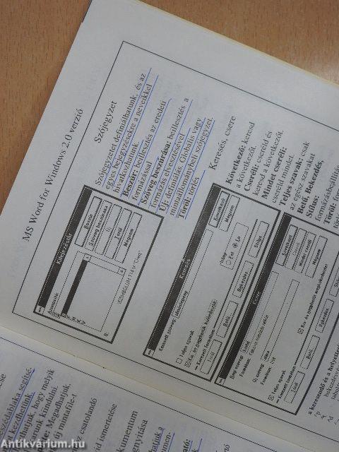 MS Word for Windows 2.0