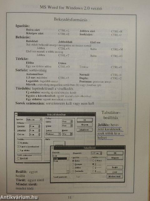 MS Word for Windows 2.0