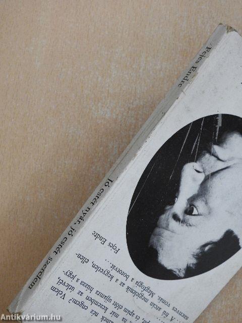 Jó estét nyár, jó estét szerelem