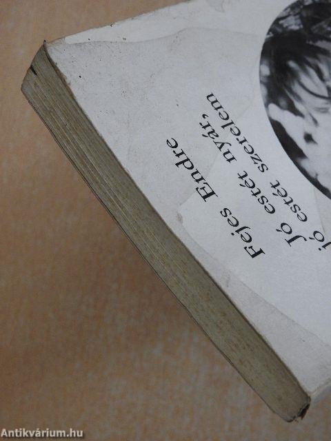 Jó estét nyár, jó estét szerelem