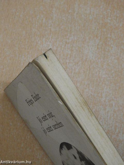 Jó estét nyár, jó estét szerelem