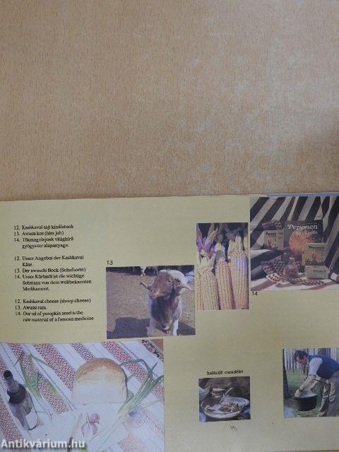 Bakonszeg hívja Önt