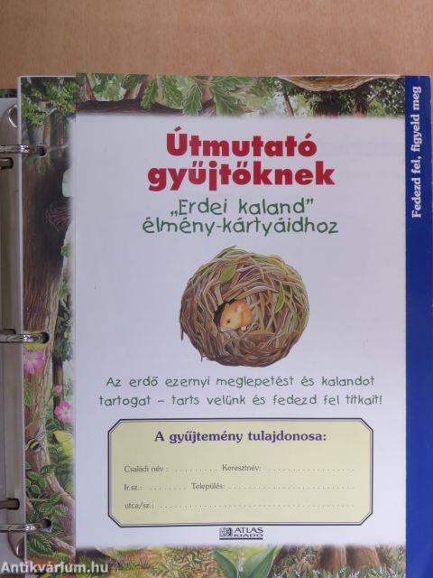 Erdei kaland I-II. (nem teljes gyűjtemény)