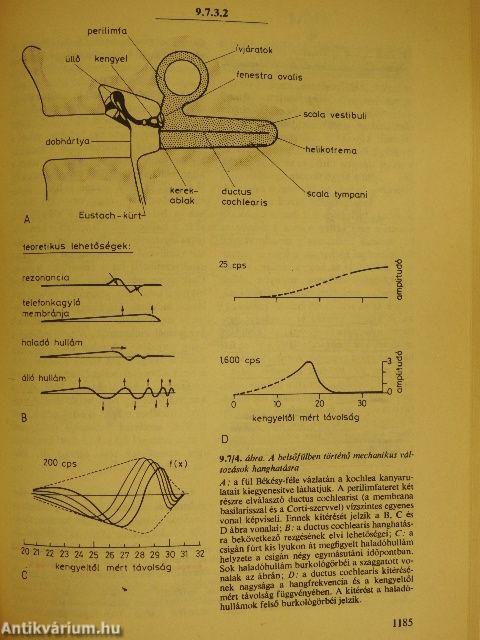 Orvosi élettan 1-2.