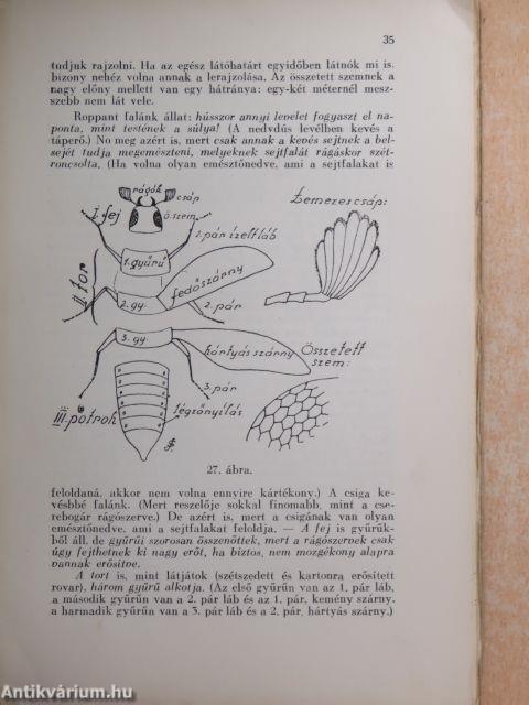 Természetrajz gyakorlati tanítások II.