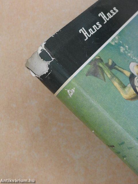 Vadászok a tenger mélyén