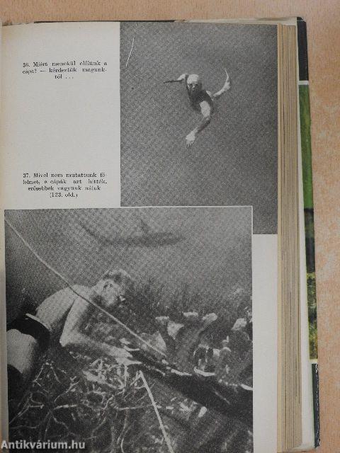 Vadászok a tenger mélyén