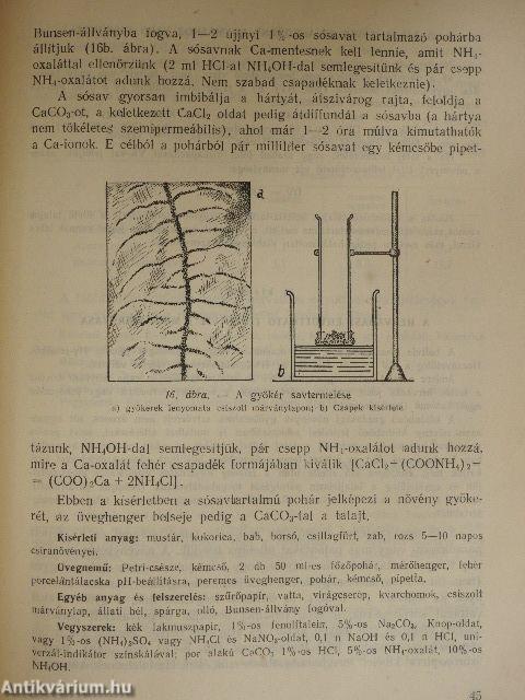 Növényélettani vizsgálatok II.