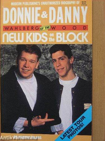 Modern Publishing's Unauthorized Biography of Donnie Wahlberg & Danny Wood of the New Kids on the Block